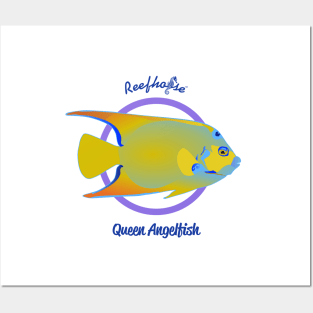 Queen Angelfish Posters and Art